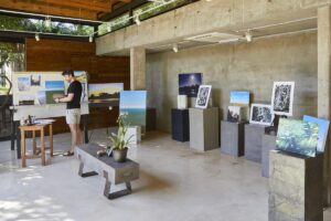 lion_sands_ivory_lodge_gallery_-_artist_in_residency