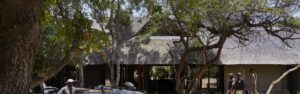 lion_sands_tinga_lodge_arrival_safari_vehicles