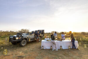 lion_sands_tinga_lodge_bush_stop