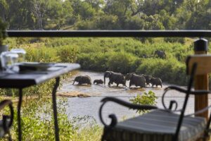 lion_sands_tinga_lodge_deck_elephants_in_river
