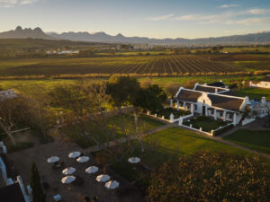 1737617435716_Vergenoegd-L&%23246;w_Landscapes_009