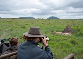 Game Drive 2