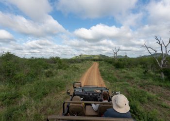 Game Drive