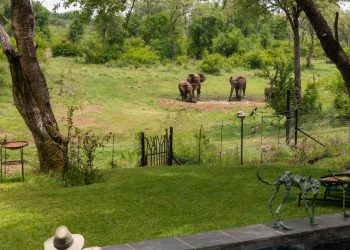 Jaci s Madikwe House Pool