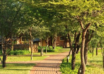 Pathway to the chalets
