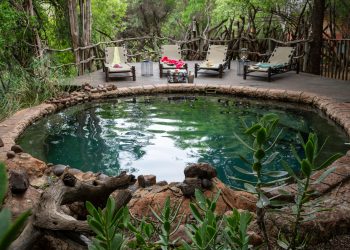 Safari Lodge Guest Pool