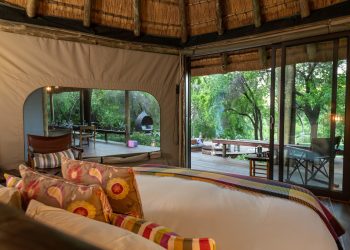 Safari Suite Main Bedroom