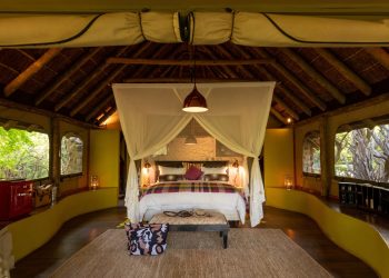 Tented Suite