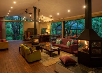Tree Lodge Bar Area