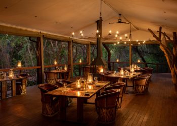 Tree Lodge Dining Area