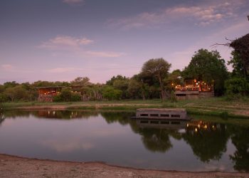 Tree Lodge Waterhole